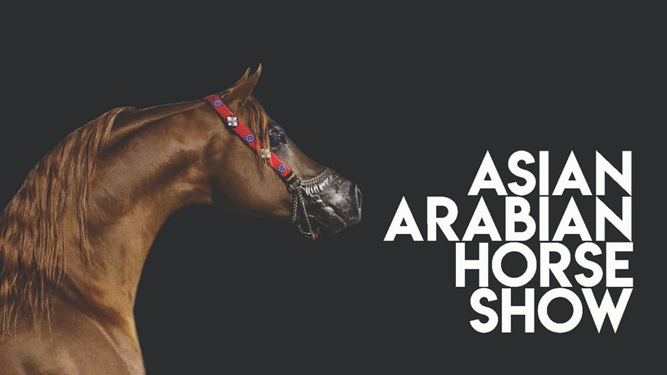 Novit 2020 Asian Arabian Horse Show ai Longines Masters di Hong